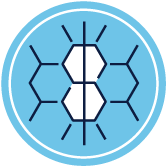 Illustration of DNA strand, with embedded dollar sign