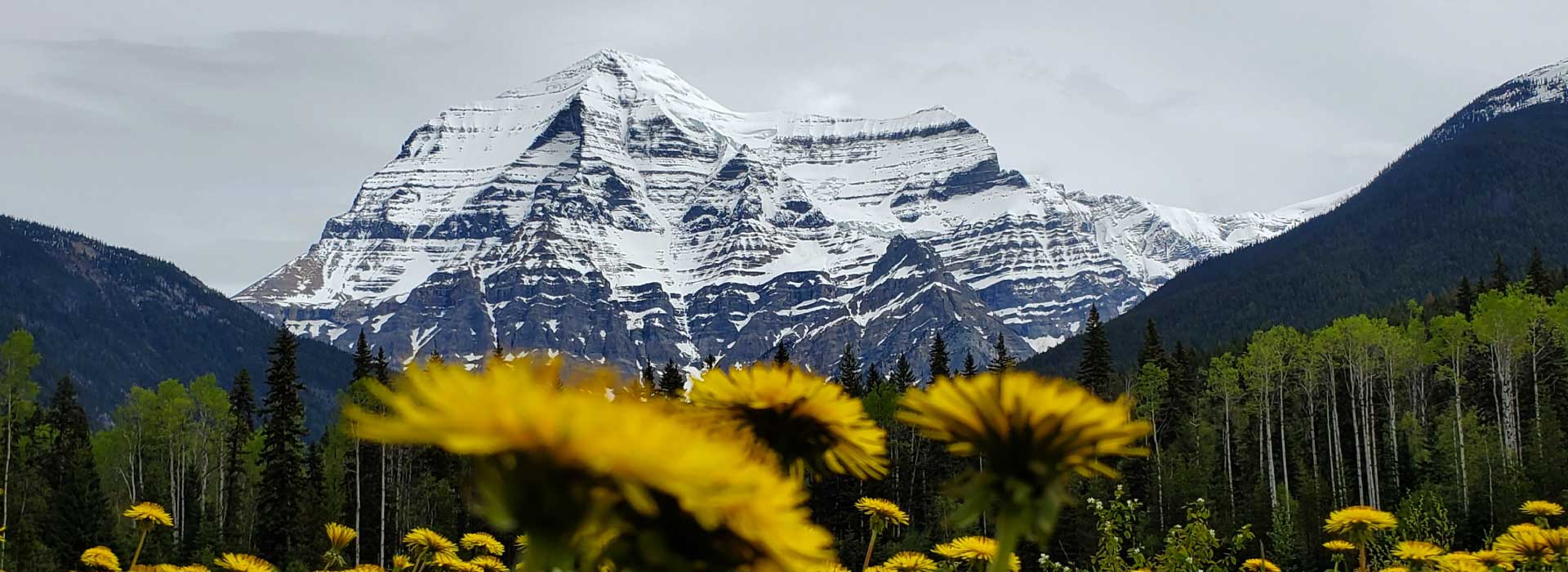Mount Robson in the spring