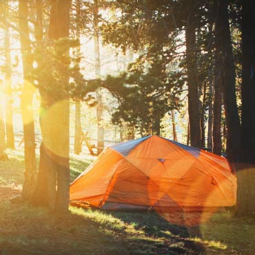 Camping tent in forest