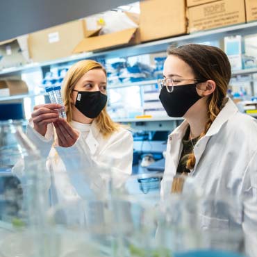 Researchers in a lab