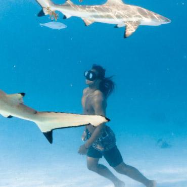 Person swimming with two sharks