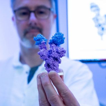 A scientist holds a detailed molecular model in a laboratory setting