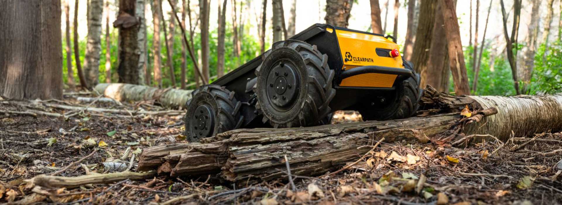 Ground drone in the forest