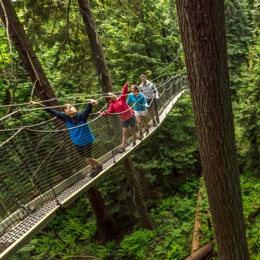 Greenheart TreeWalk at the UBC Botanical Garden