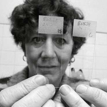 Dr. Julia Levy