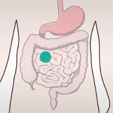 Illustration of the inside of the human body