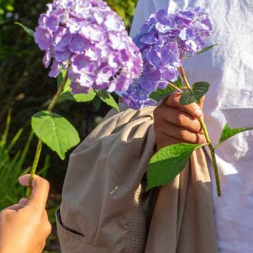 Hand holding flowers