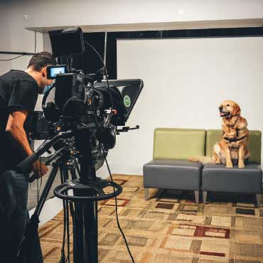 A dog sitting on a chair facing a camera setup