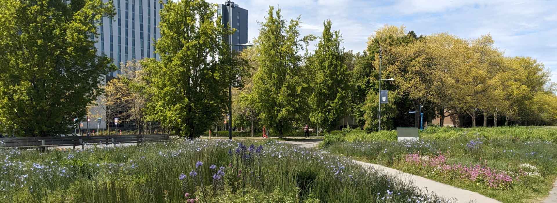 Green spaces at Vanouver campus