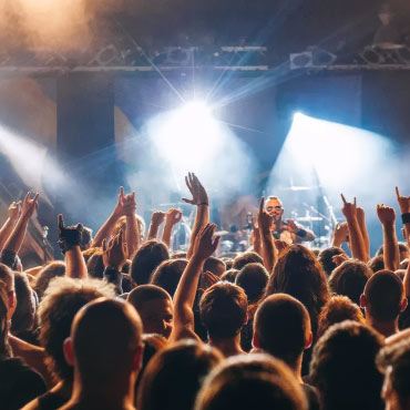 Crowd at a concert