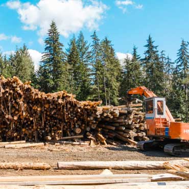 Lumber piled up outside