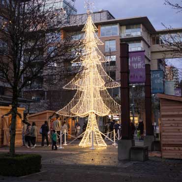 Tree lighting at Norman MacKenzie Square.